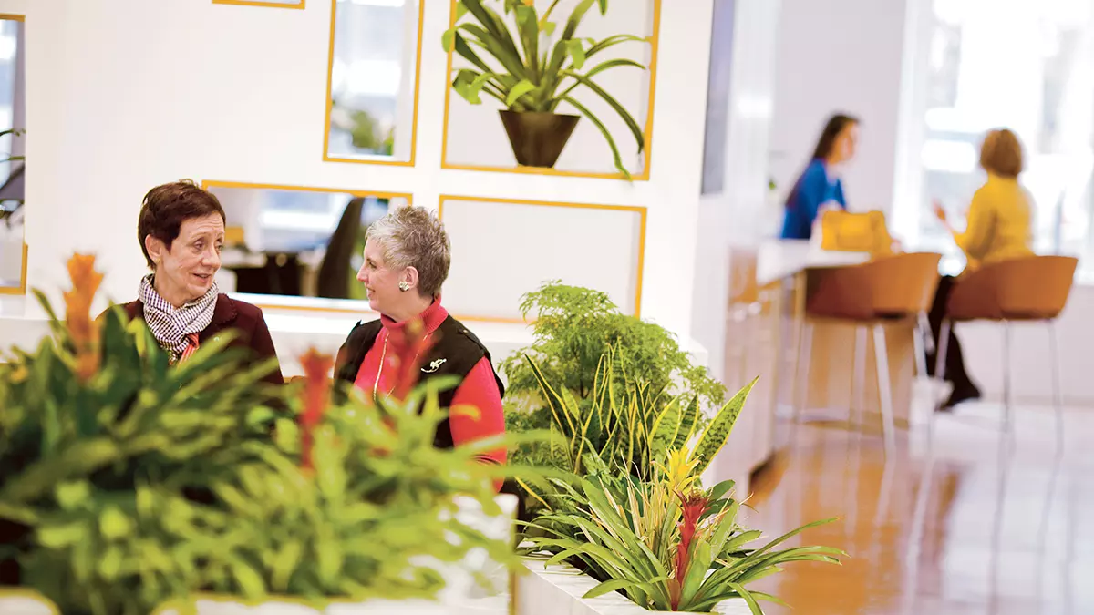 Indoor garden at MSK Brooklyn Infusion Center